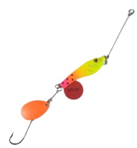7746259.jpg