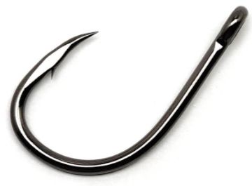 2895179.jpg