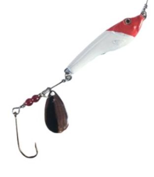 7746285.jpg