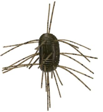 9586187.jpg