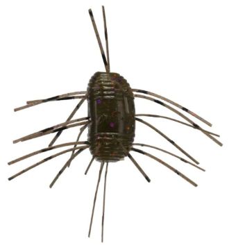 9586189.jpg