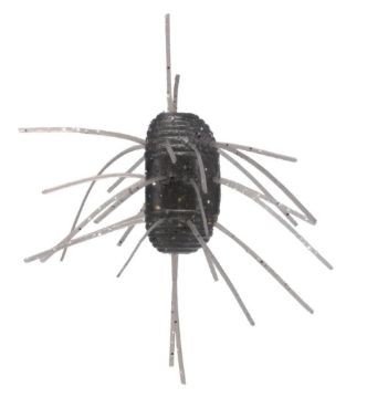 9586190.jpg