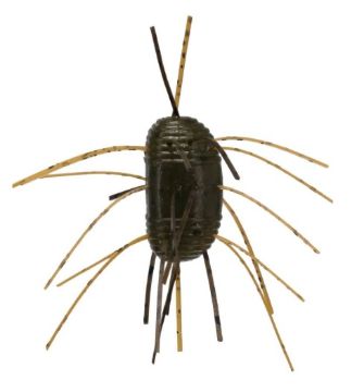 9586195.jpg
