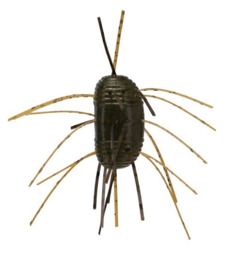 9586195.jpg