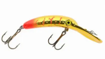 YAKIMA MAG LIP 3.0 Color:  Gold Diggers Cousin  , SMU Model#9571-Y954