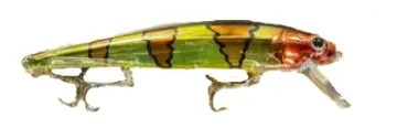 Dead Eye CRANK BAIT JUNIOR Red Head Twister