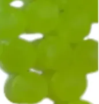 CATALYST BEADS - 8MM - 25PK - BIOHAZARD - (BRIGHT GREEN CHARTRUESE)