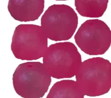 CATALYST BEADS - 12MM - 12PK - BALLERINA - (PINK BLUE PEARL)